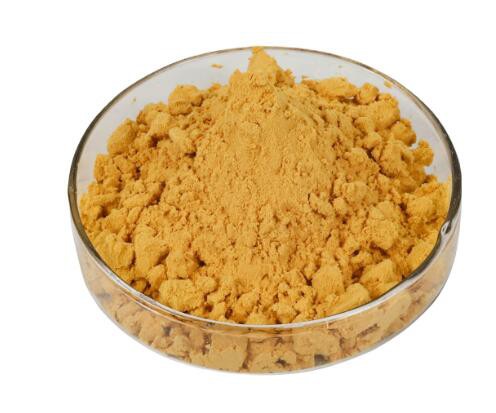 202301041546391f8e5b7799a94956b9e1f9a7f1556af0-1 202301041546391f8e5b7799a94956b9e1f9a7f1556af0-1