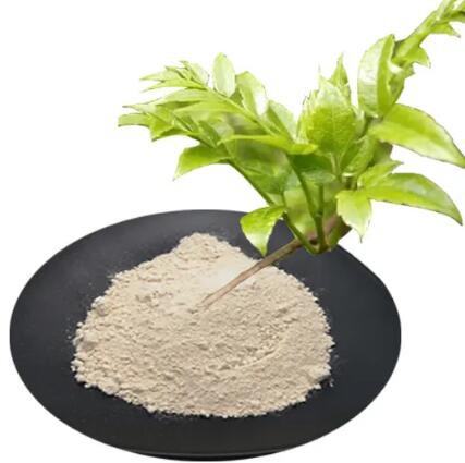 20230131103941b3ebab56b1e9466999013bf4d55a827b 20230131103941b3ebab56b1e9466999013bf4d55a827b