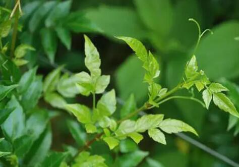 2023013110400318f4d820913145f19a586930a9c1717e 2023013110400318f4d820913145f19a586930a9c1717e