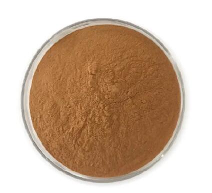 20230220151402a9146c12f2eb4979968fffcabec4534a 20230220151402a9146c12f2eb4979968fffcabec4534a