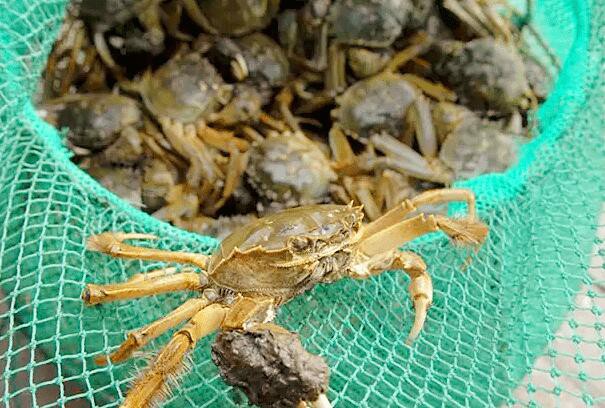 202303141138208a3c191da5bd491eb57c7eb787aec04c-2