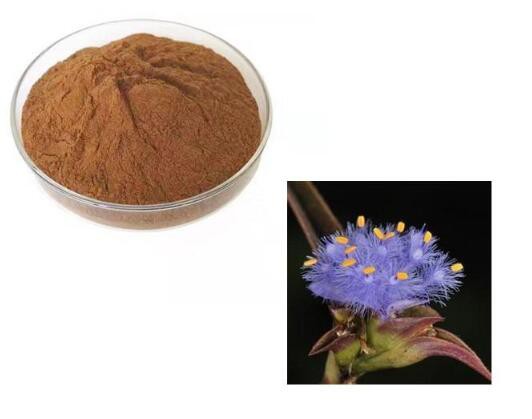 20230314114530fa6490313b8046a0822fd085c8c46686 20230314114530fa6490313b8046a0822fd085c8c46686