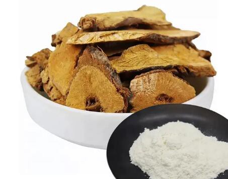 20230508150728cc9e5dae14f8423abc9cfb03d3606cc3 20230508150728cc9e5dae14f8423abc9cfb03d3606cc3