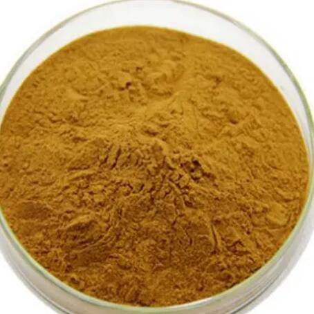 20230509113218165d5f0d0b834c688ef4b9b9cf214ce6 20230509113218165d5f0d0b834c688ef4b9b9cf214ce6