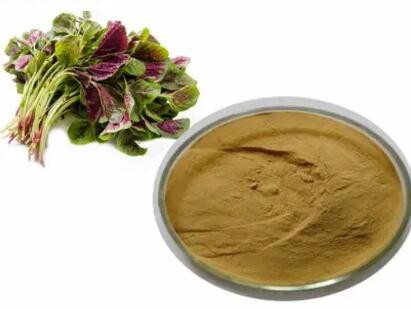 202305111543120228b6bae4f142a7ba4c484ffd0eede8 202305111543120228b6bae4f142a7ba4c484ffd0eede8