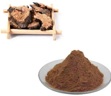 202306011325539f2f46ff1cbb4d35937be383af31b7b2 202306011325539f2f46ff1cbb4d35937be383af31b7b2