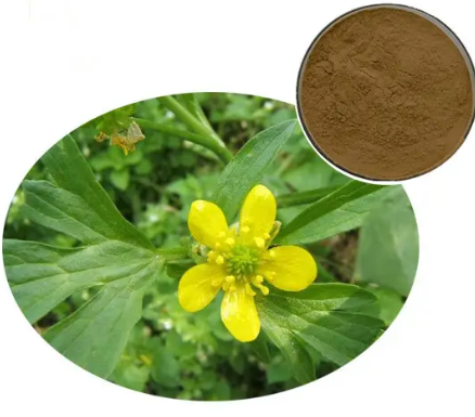 20230607144541402dd9c0ab6c4aa6ab272dea71b640a5-2