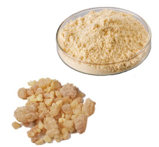 Boswellia Extracts18121619342
