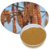 poplar-flower-extract59146985370 Poplar Flower Extract59146985370