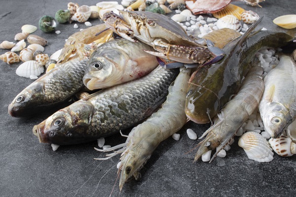 Usos do pó de Chlorella