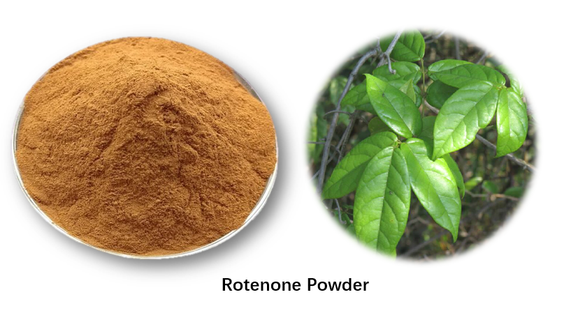 pó de rotenona 40%
