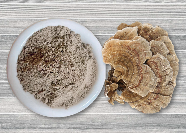 O pó de cogumelo de cauda de peru é seguro para cães?