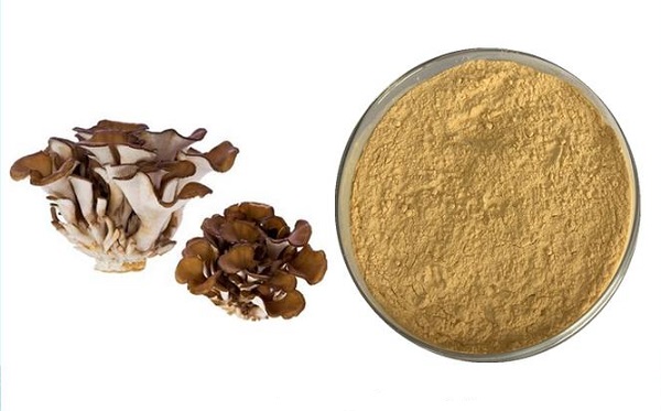 Pó de cogumelo maitake a granel