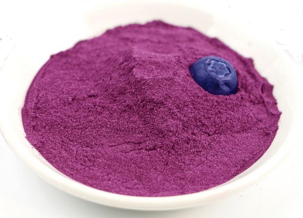 Fabricante de suco de mirtilo em pó