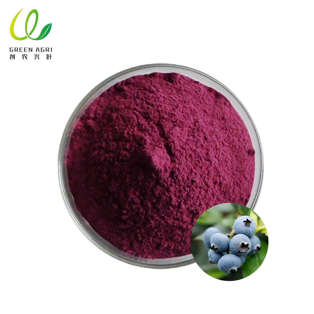 Fabricante de suco de mirtilo em pó