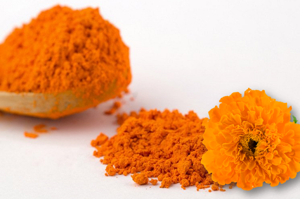 Luteína e Zeaxantina: Carotenoides Naturais para Alimentação Animal