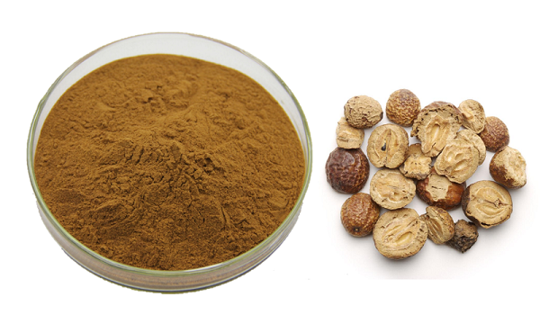 Pó de Toosendanin a granel