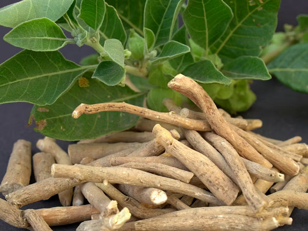 Raiz de ashwagandha