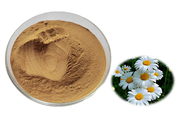 Pó de flor de piretro
