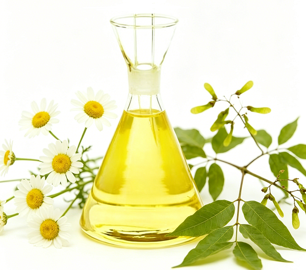 Piretrinas ou óleo de neem: qual a melhor solução natural para o controle de pragas?