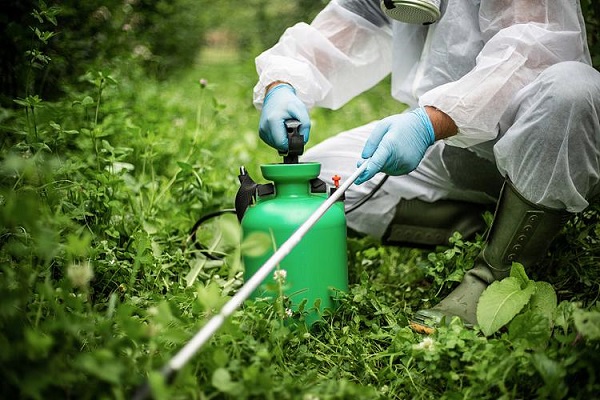 Material técnico de Toosendanin para venda por atacado, destinado a fabricantes de pesticidas botânicos.