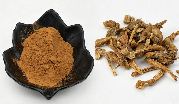 Fornecedor de extrato de Stemona Japonica